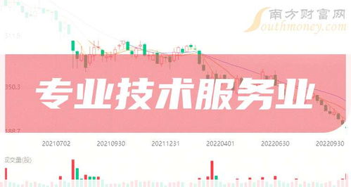 2026年上市信息技术咨询服务公司盘点 专业服务业的新兴力量